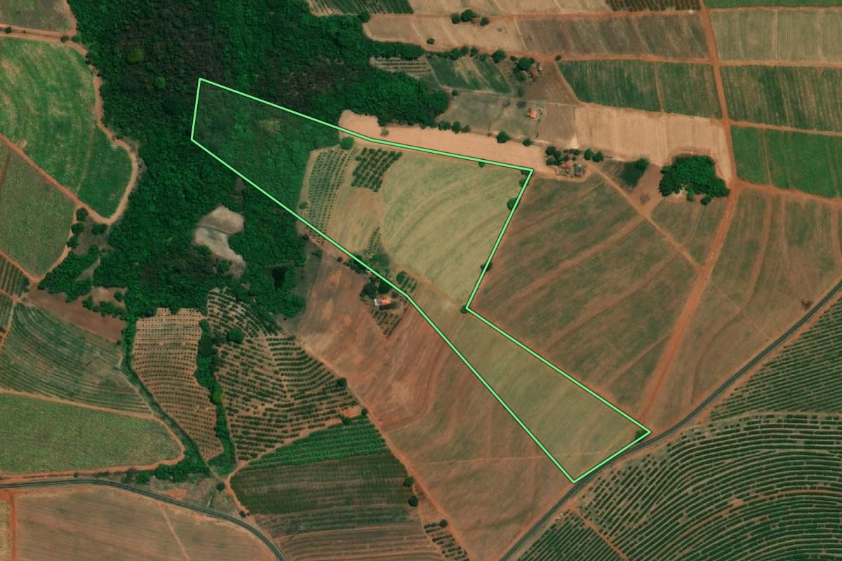 Imagem de satélite do imóvel rural em Ariranha (SP), com o contorno declarado no CAR desenhado por cima.