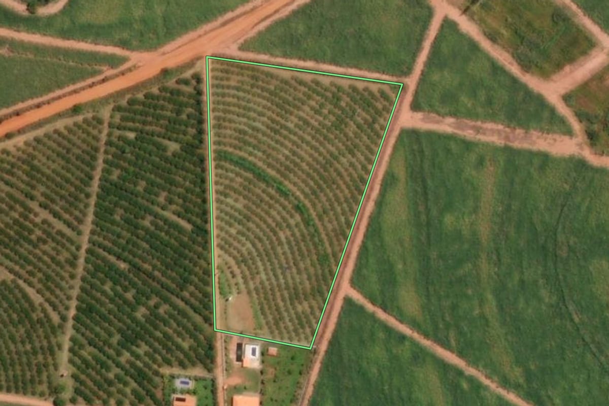 Imagem de satélite do imóvel rural em Ariranha (SP), com o contorno declarado no CAR desenhado por cima.