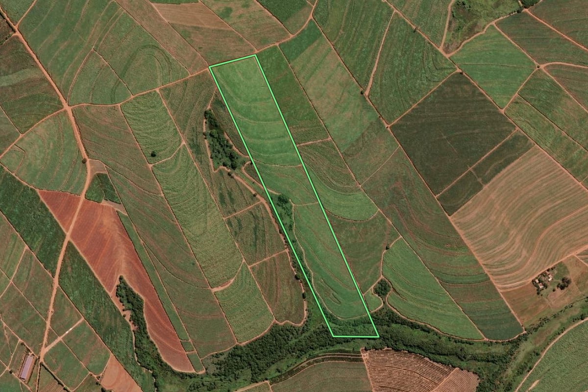 Imagem de satélite do imóvel rural em Ariranha (SP), com o contorno declarado no CAR desenhado por cima.