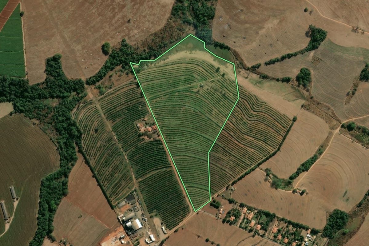 Imagem de satélite do imóvel rural em Artur Nogueira (SP), com o contorno declarado no CAR desenhado por cima.