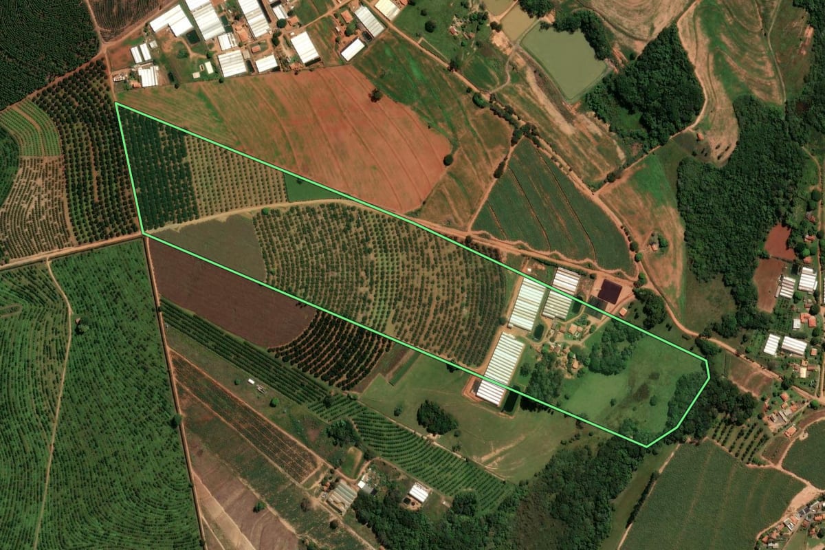 Imagem de satélite do imóvel rural em Artur Nogueira (SP), com o contorno declarado no CAR desenhado por cima.