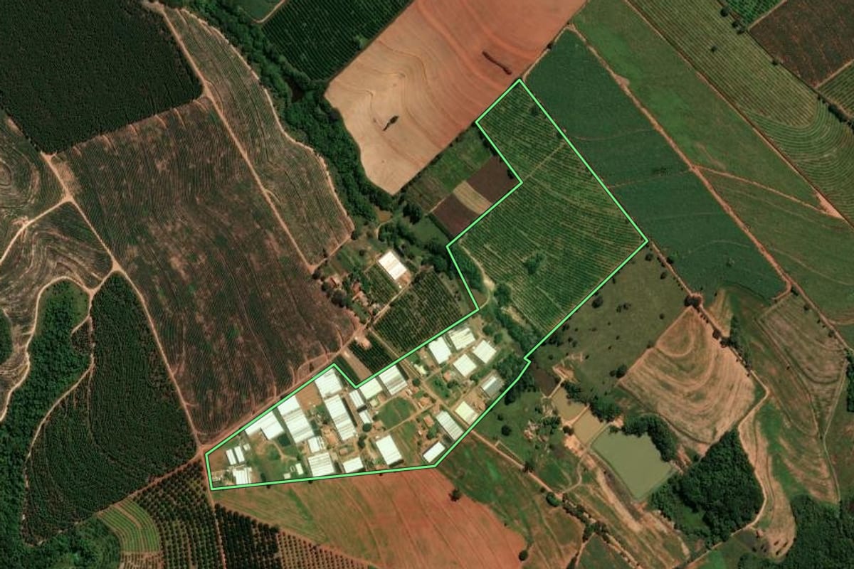 Imagem de satélite do imóvel rural em Artur Nogueira (SP), com o contorno declarado no CAR desenhado por cima.