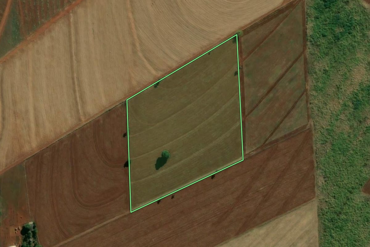 Imagem de satélite do imóvel rural em Artur Nogueira (SP), com o contorno declarado no CAR desenhado por cima.