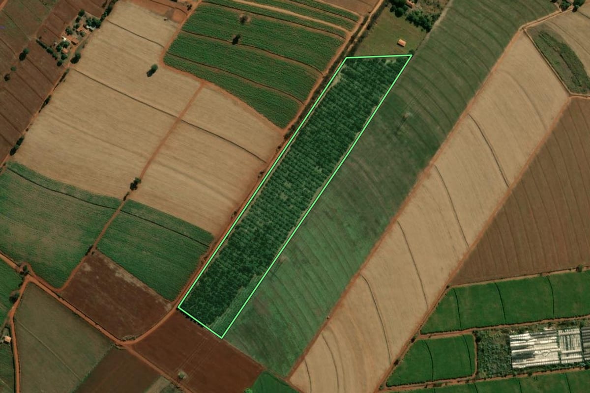 Imagem de satélite do imóvel rural em Artur Nogueira (SP), com o contorno declarado no CAR desenhado por cima.