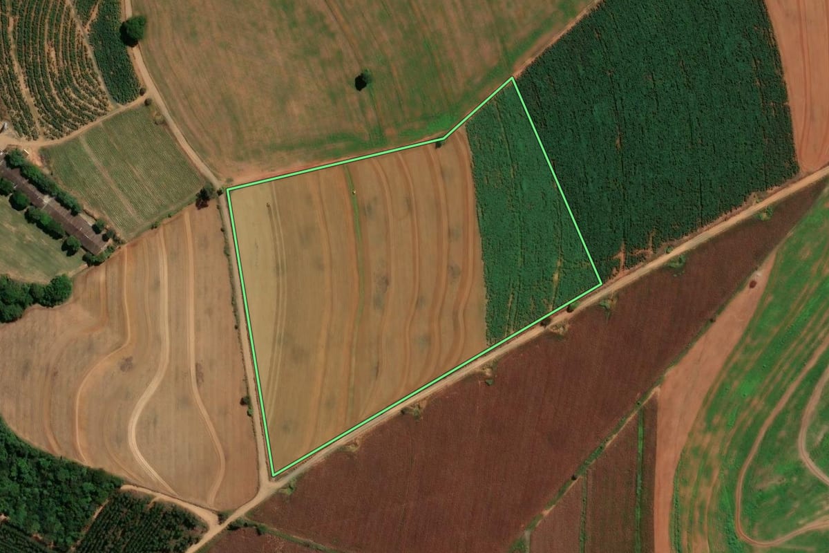 Imagem de satélite do imóvel rural em Artur Nogueira (SP), com o contorno declarado no CAR desenhado por cima.
