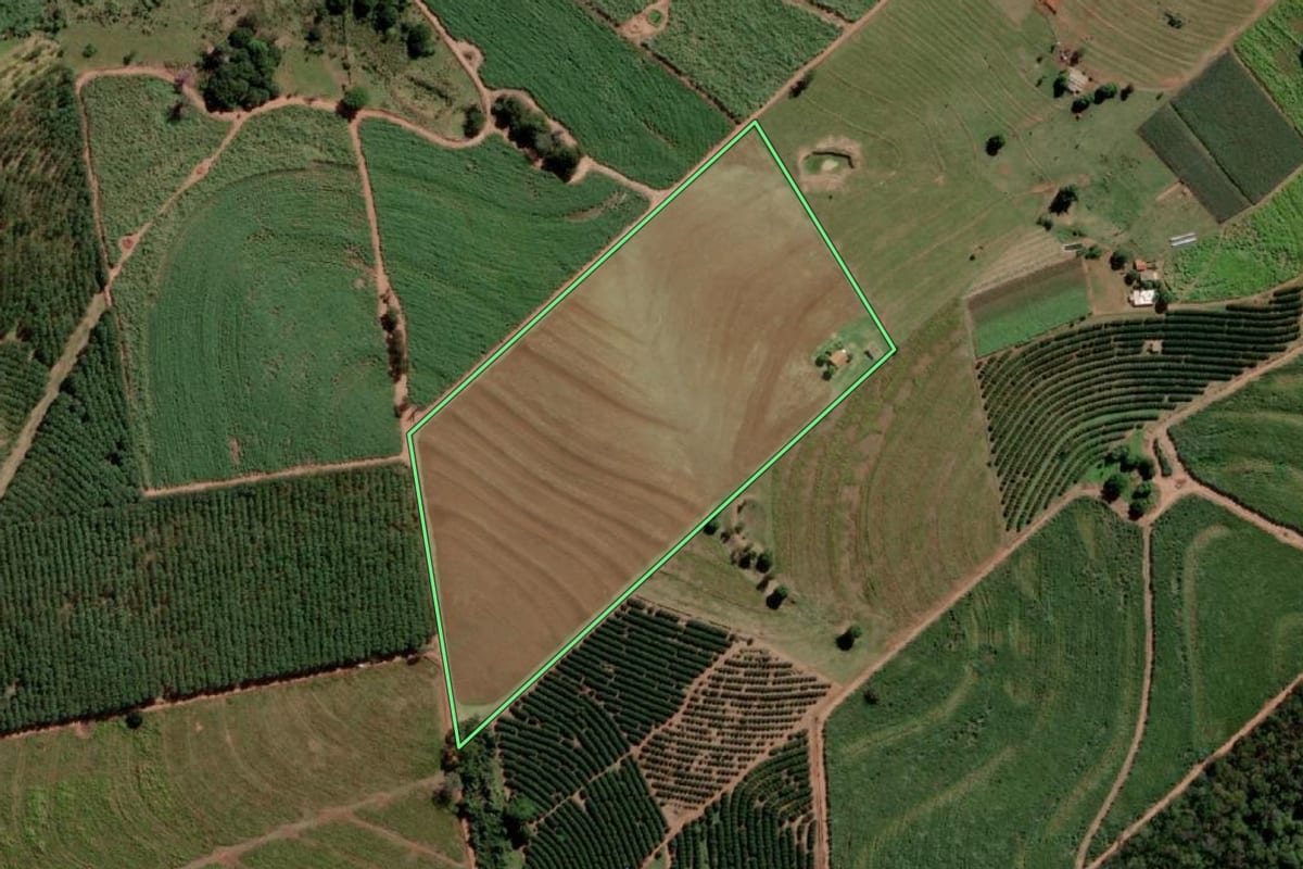 Imagem de satélite do imóvel rural em Aspásia (SP), com o contorno declarado no CAR desenhado por cima.