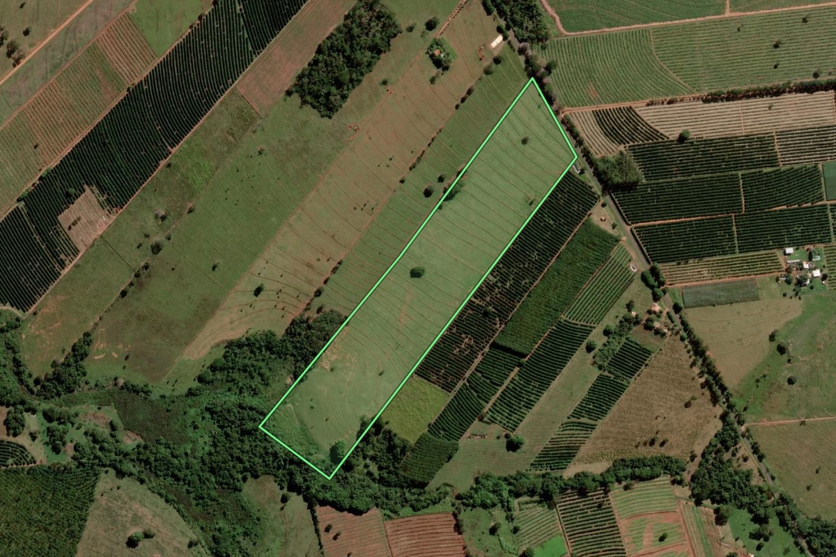 Imagem de satélite do imóvel rural em Aspásia (SP), com o contorno declarado no CAR desenhado por cima.