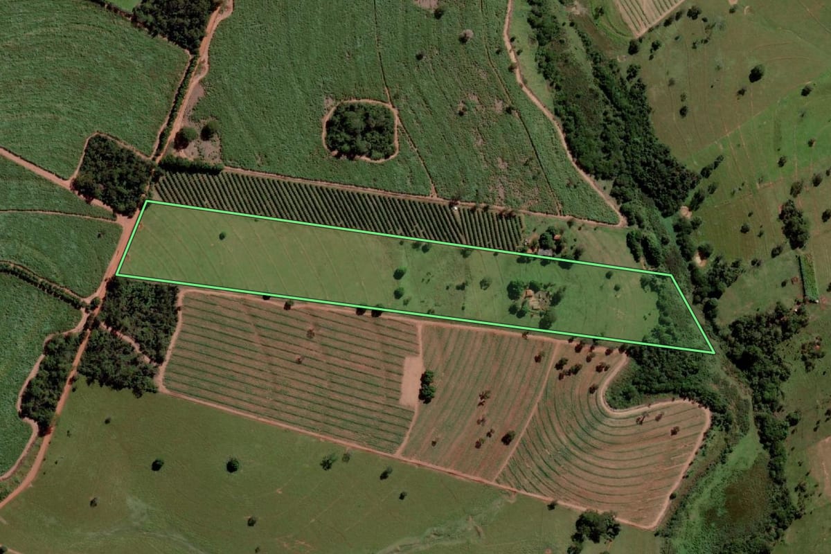 Imagem de satélite do imóvel rural em Aspásia (SP), com o contorno declarado no CAR desenhado por cima.