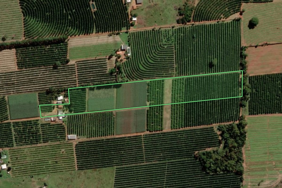 Imagem de satélite do imóvel rural em Aspásia (SP), com o contorno declarado no CAR desenhado por cima.