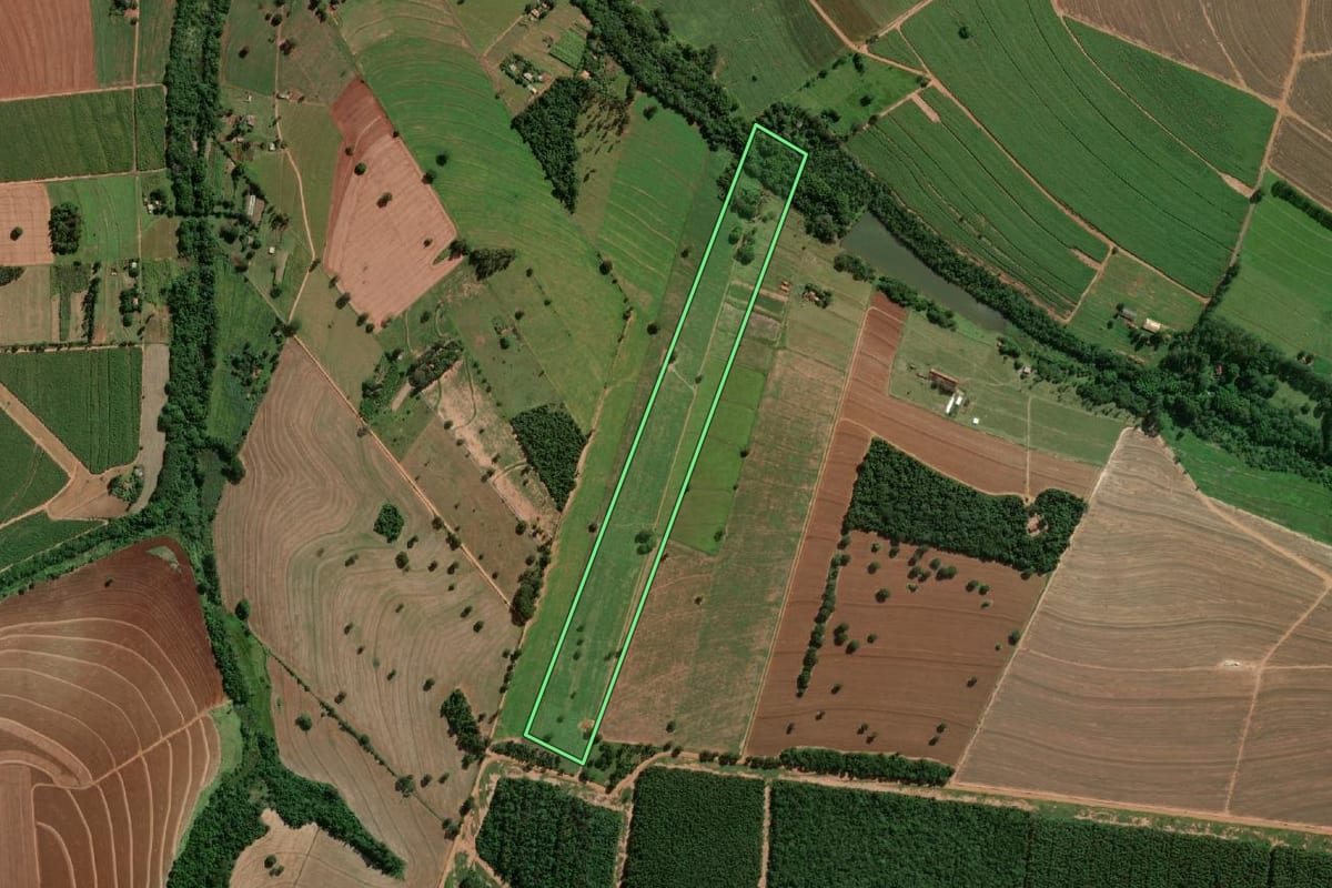 Imagem de satélite do imóvel rural em Assis (SP), com o contorno declarado no CAR desenhado por cima.