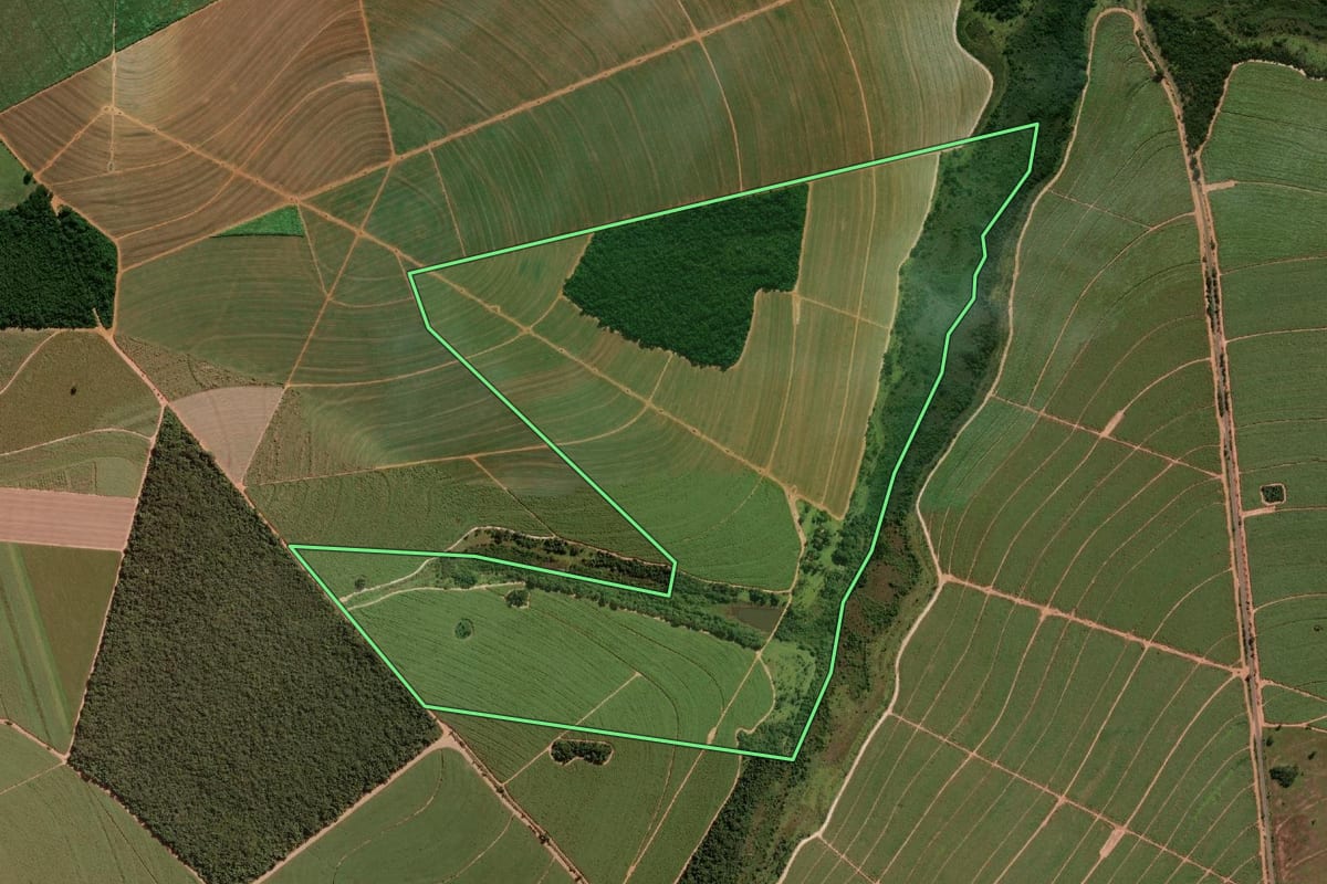 Imagem de satélite do imóvel rural em Assis (SP), com o contorno declarado no CAR desenhado por cima.