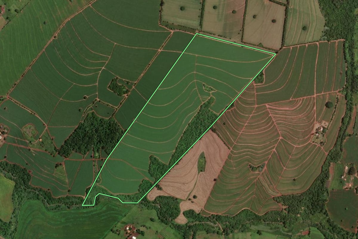 Imagem de satélite do imóvel rural em Assis (SP), com o contorno declarado no CAR desenhado por cima.