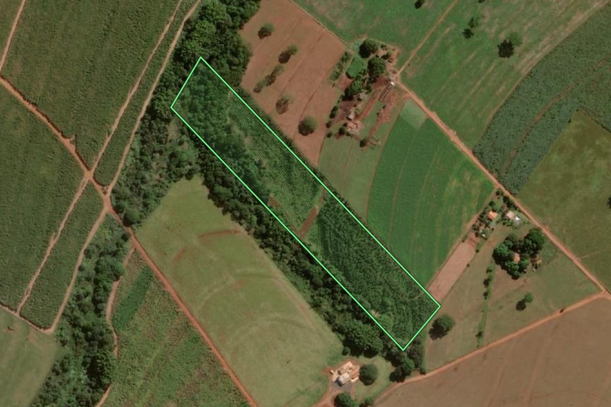 Imagem de satélite do imóvel rural em Assis (SP), com o contorno declarado no CAR desenhado por cima.