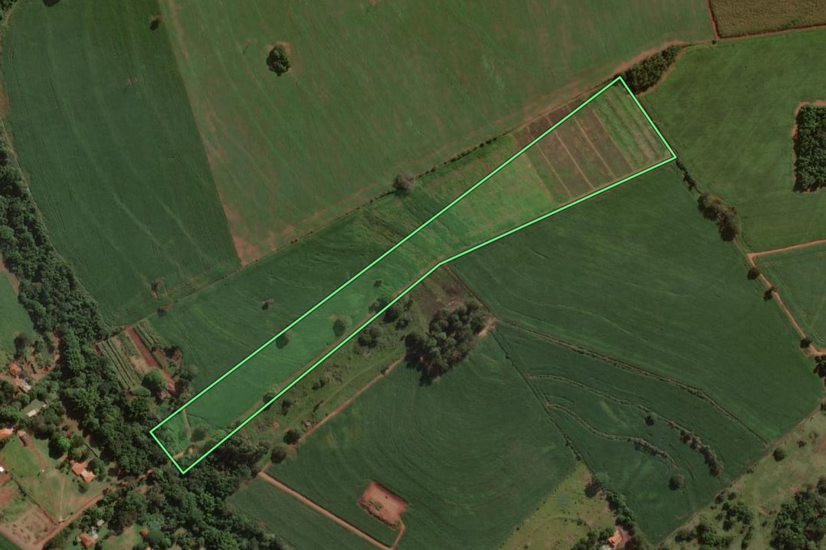 Imagem de satélite do imóvel rural em Assis (SP), com o contorno declarado no CAR desenhado por cima.