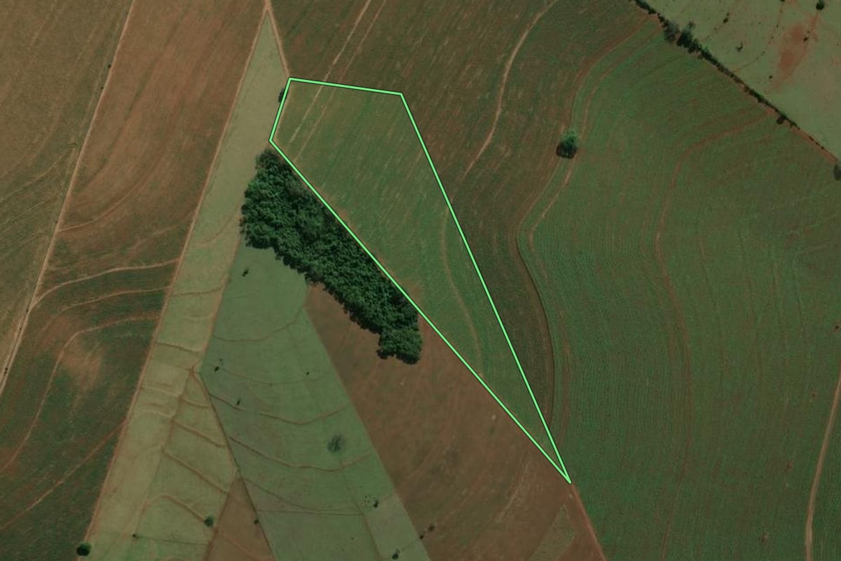 Imagem de satélite do imóvel rural em Assis (SP), com o contorno declarado no CAR desenhado por cima.