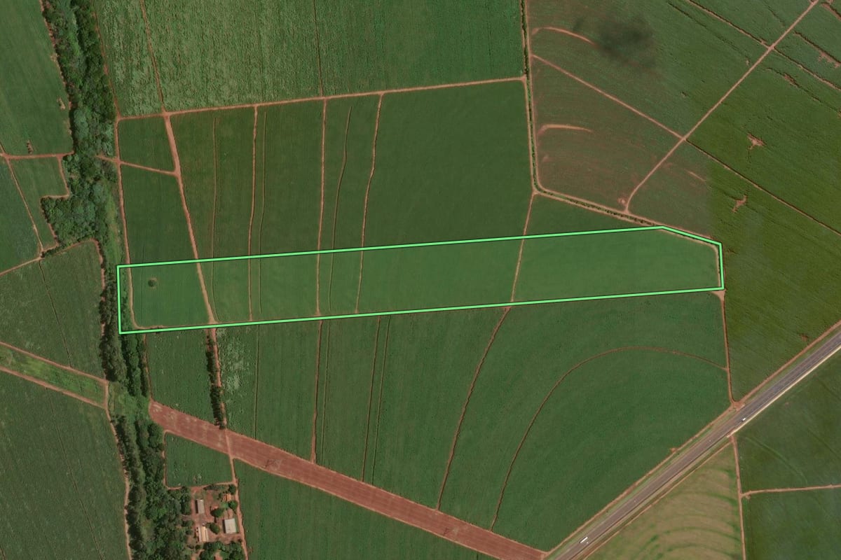 Imagem de satélite do imóvel rural em Assis (SP), com o contorno declarado no CAR desenhado por cima.