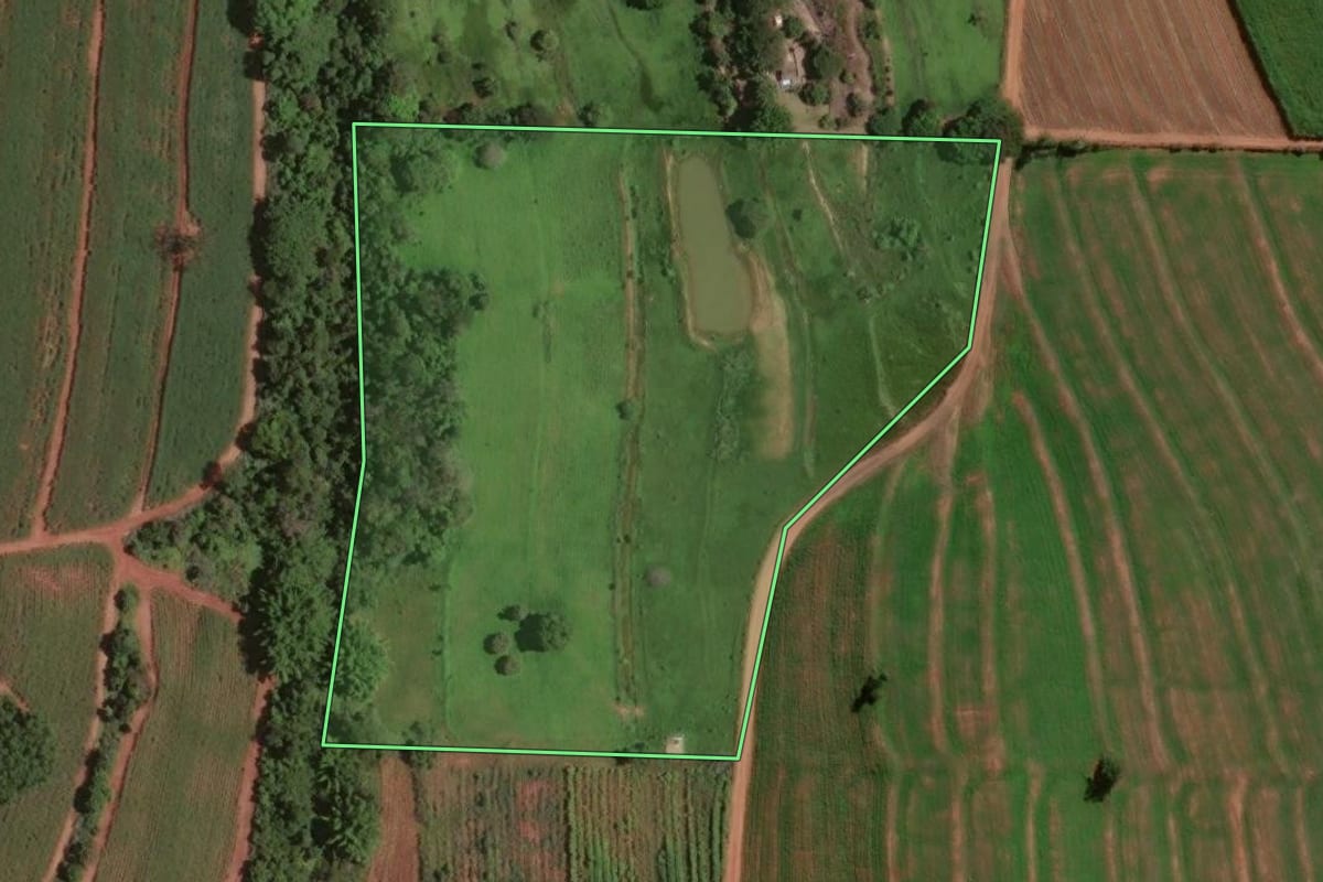 Imagem de satélite do imóvel rural em Assis (SP), com o contorno declarado no CAR desenhado por cima.
