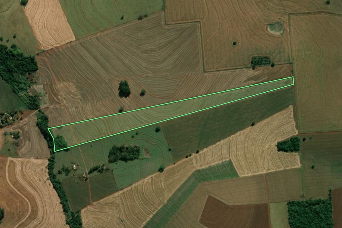 Imagem de satélite do imóvel rural em Assis (SP), com o contorno declarado no CAR desenhado por cima.