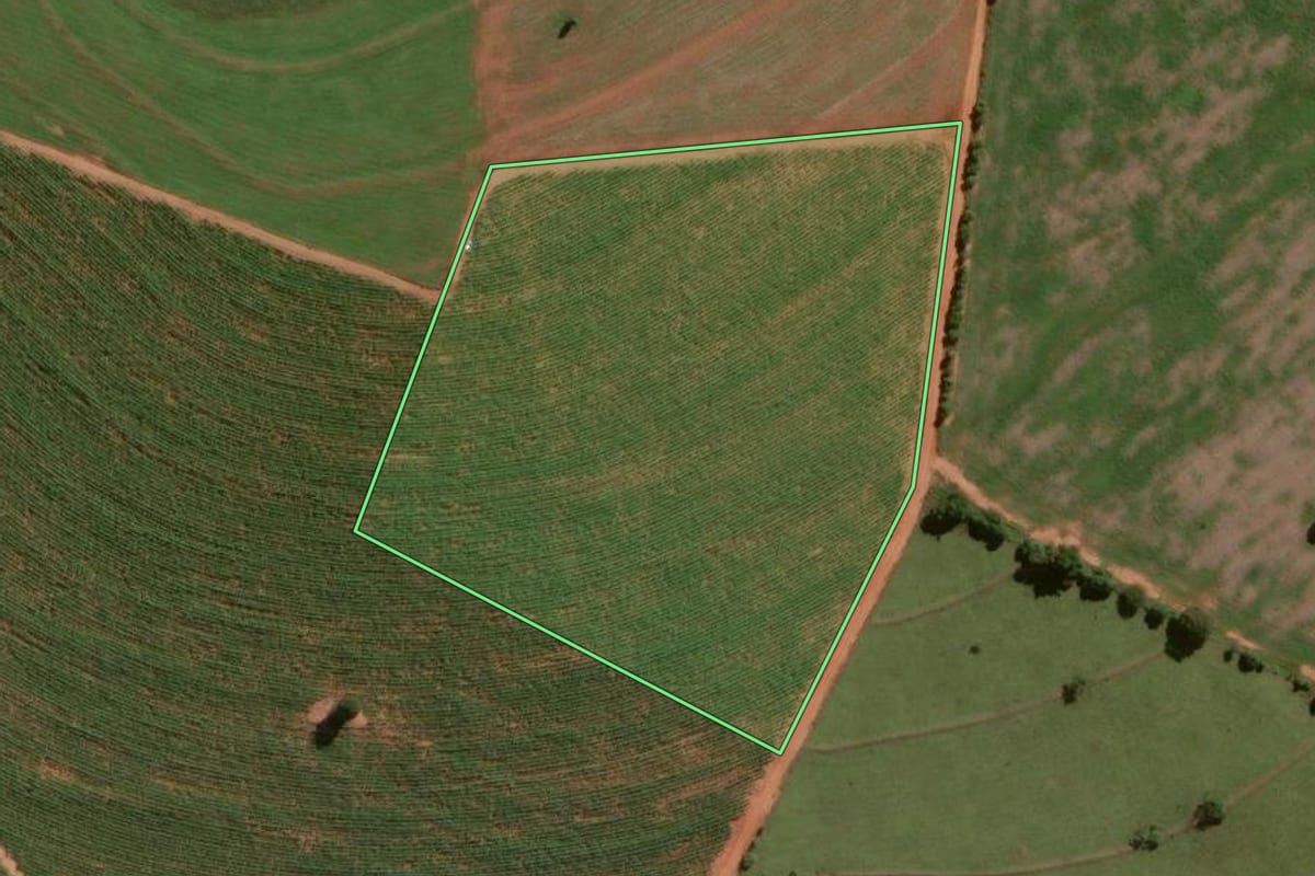 Imagem de satélite do imóvel rural em Assis (SP), com o contorno declarado no CAR desenhado por cima.