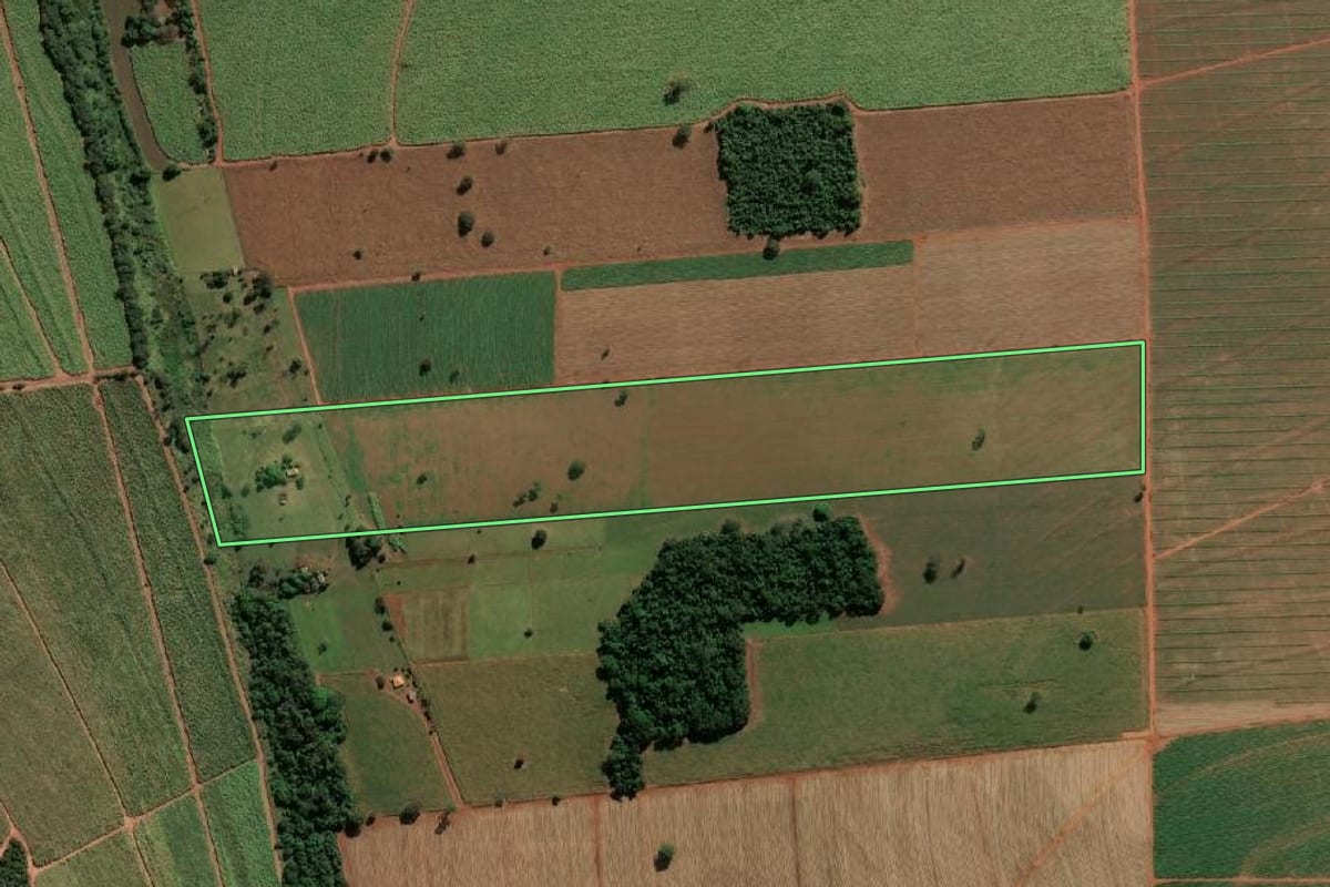 Imagem de satélite do imóvel rural em Assis (SP), com o contorno declarado no CAR desenhado por cima.