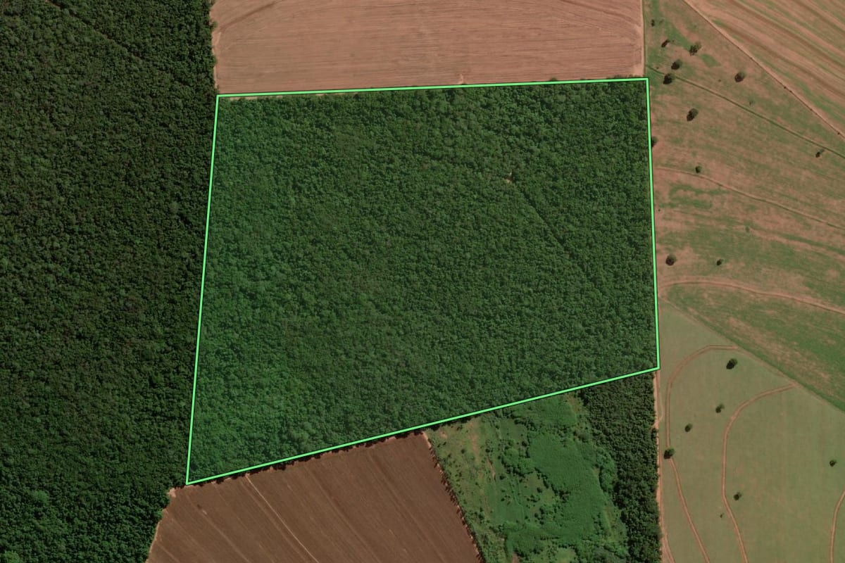Imagem de satélite do imóvel rural em Assis (SP), com o contorno declarado no CAR desenhado por cima.