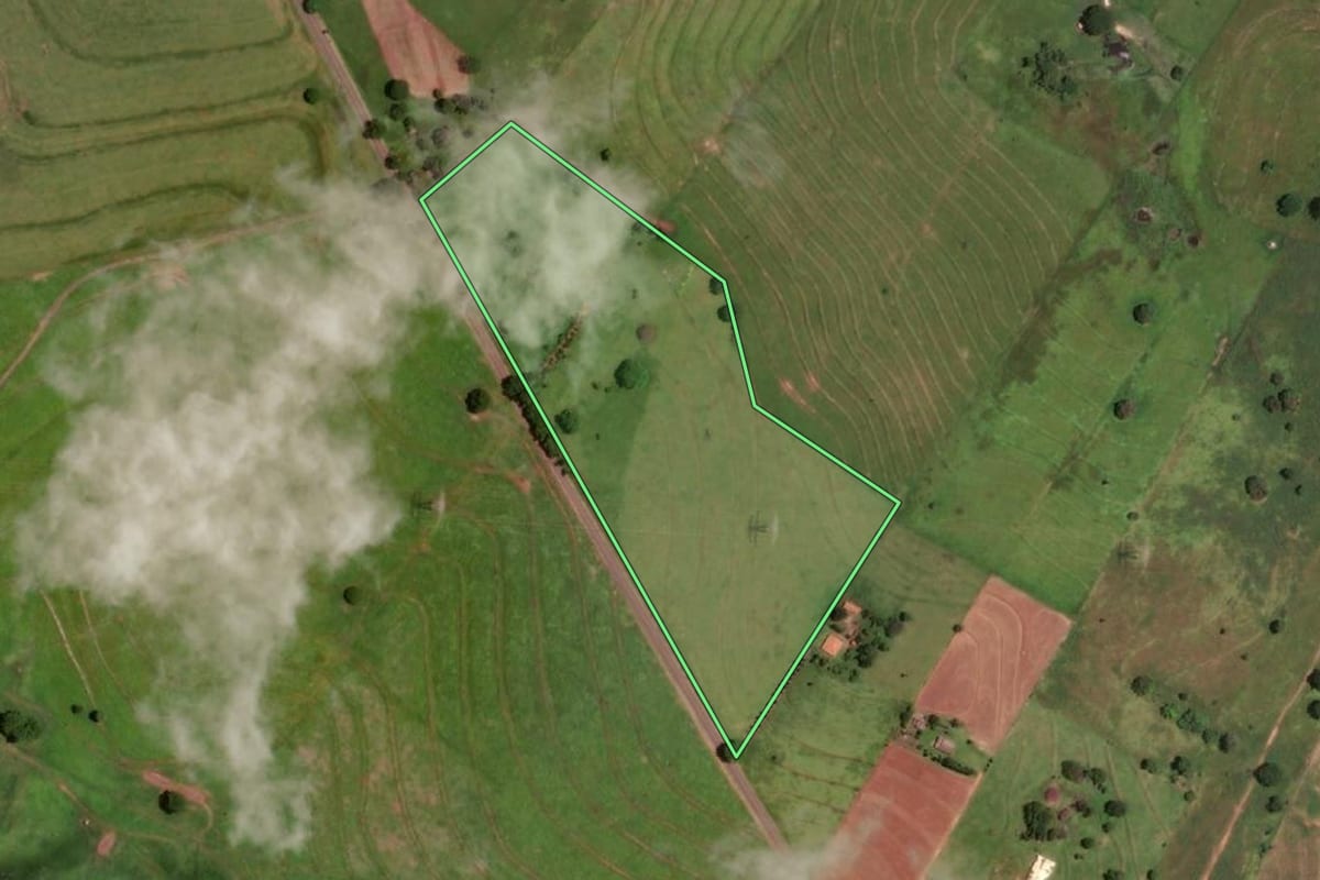 Imagem de satélite do imóvel rural em Auriflama (SP), com o contorno declarado no CAR desenhado por cima.