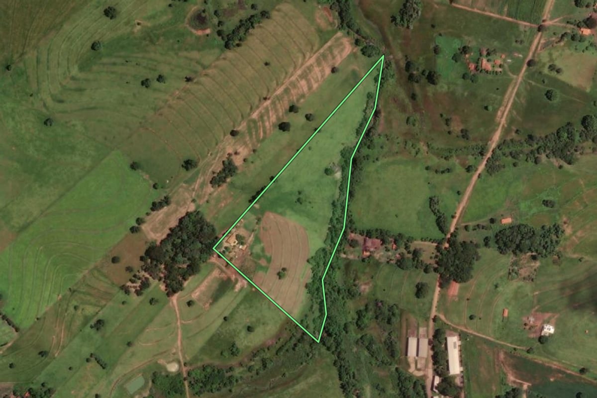 Imagem de satélite do imóvel rural em Auriflama (SP), com o contorno declarado no CAR desenhado por cima.
