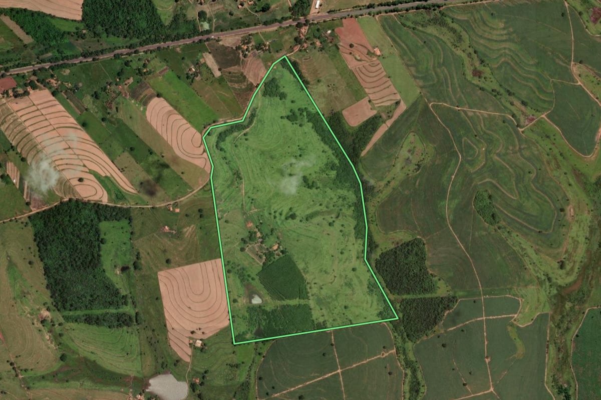 Imagem de satélite do imóvel rural em Auriflama (SP), com o contorno declarado no CAR desenhado por cima.