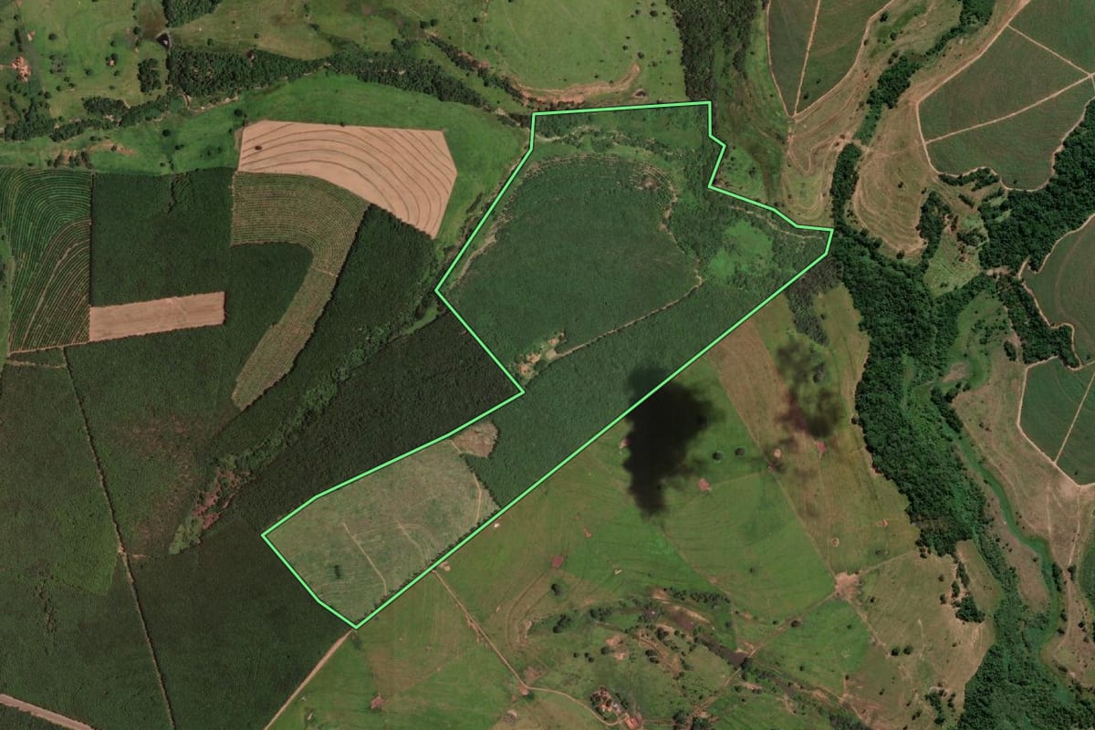 Imagem de satélite do imóvel rural em Auriflama (SP), com o contorno declarado no CAR desenhado por cima.