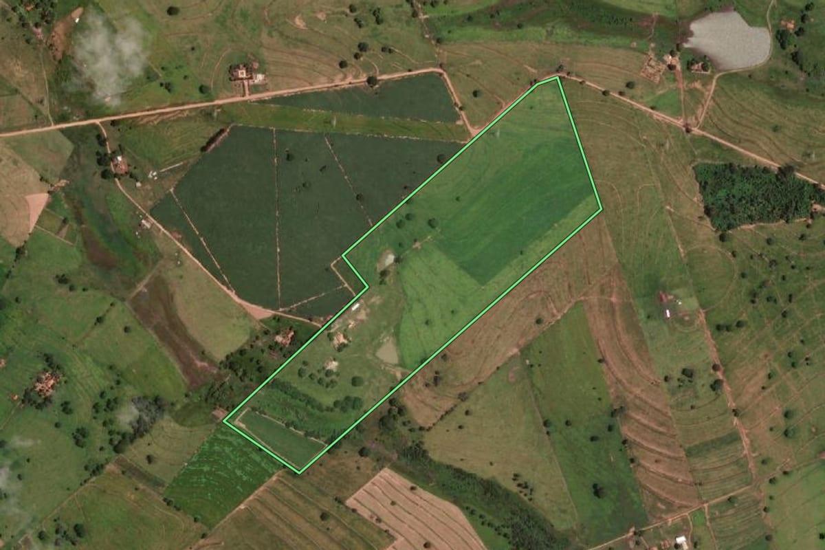 Imagem de satélite do imóvel rural em Auriflama (SP), com o contorno declarado no CAR desenhado por cima.