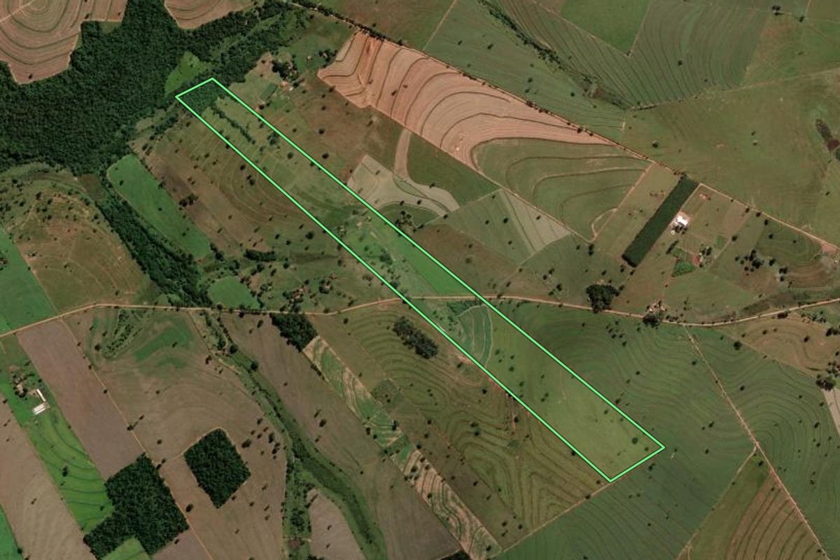 Imagem de satélite do imóvel rural em Auriflama (SP), com o contorno declarado no CAR desenhado por cima.