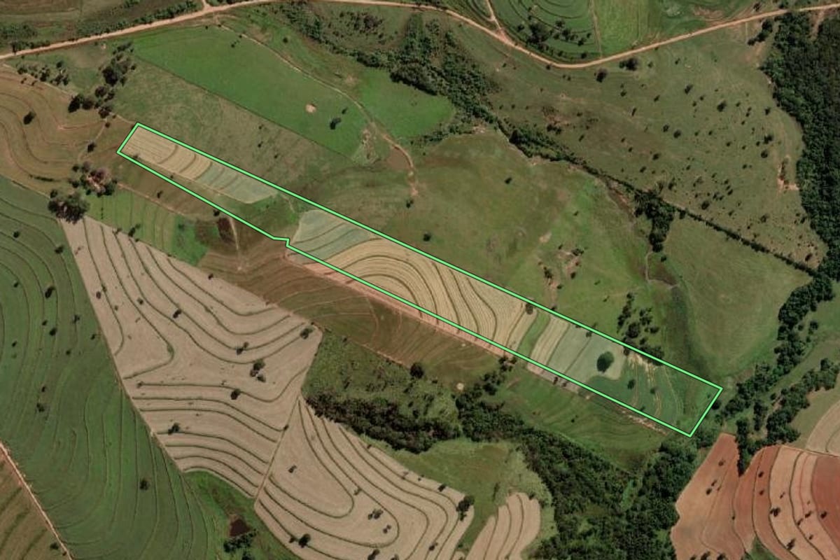 Imagem de satélite do imóvel rural em Auriflama (SP), com o contorno declarado no CAR desenhado por cima.