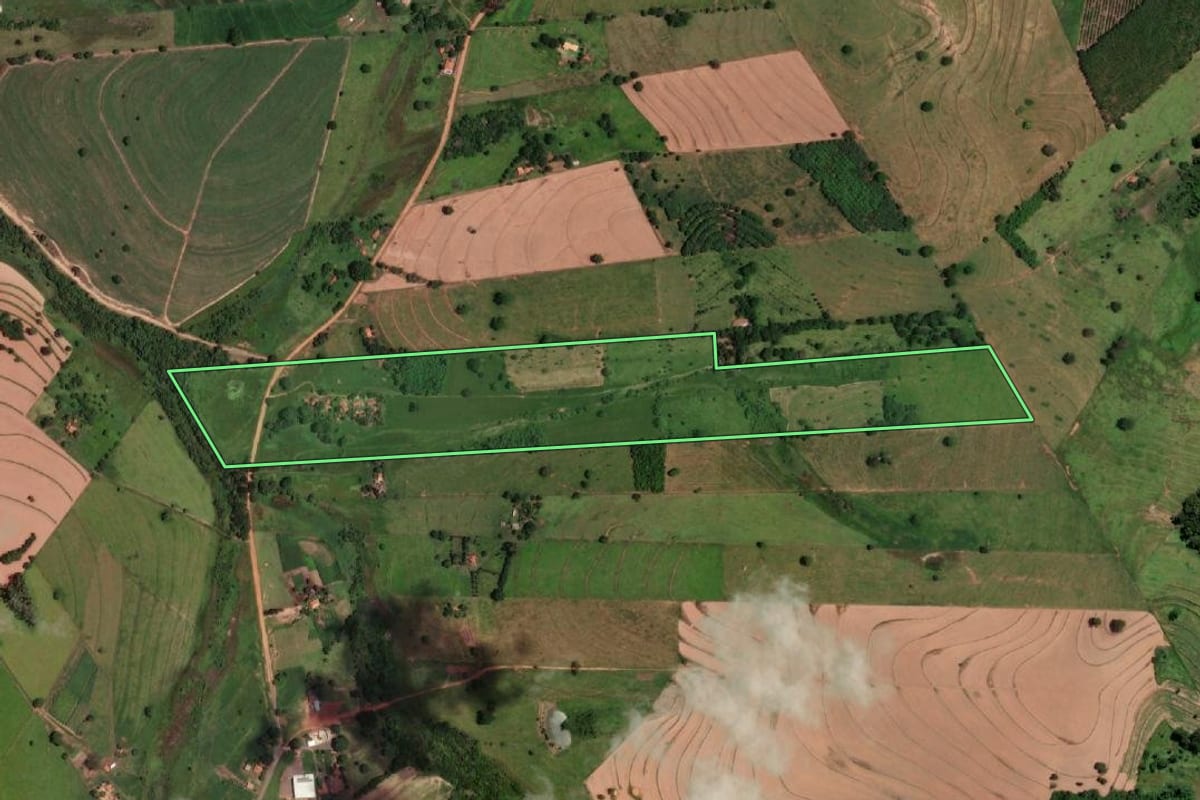 Imagem de satélite do imóvel rural em Auriflama (SP), com o contorno declarado no CAR desenhado por cima.