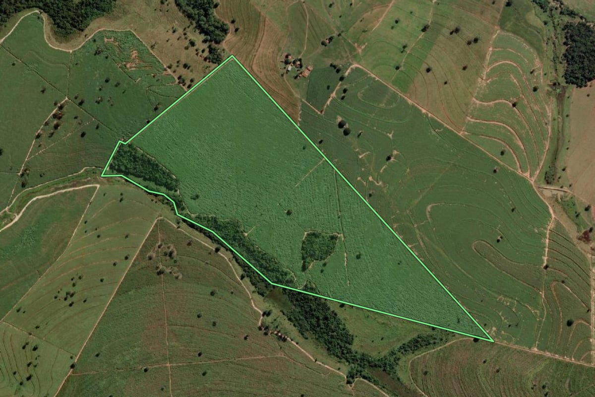 Imagem de satélite do imóvel rural em Auriflama (SP), com o contorno declarado no CAR desenhado por cima.
