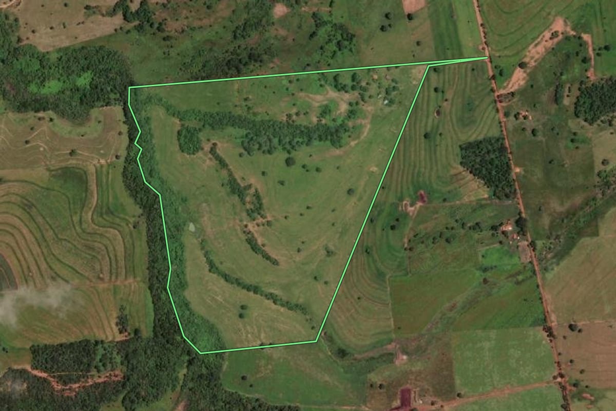 Imagem de satélite do imóvel rural em Auriflama (SP), com o contorno declarado no CAR desenhado por cima.