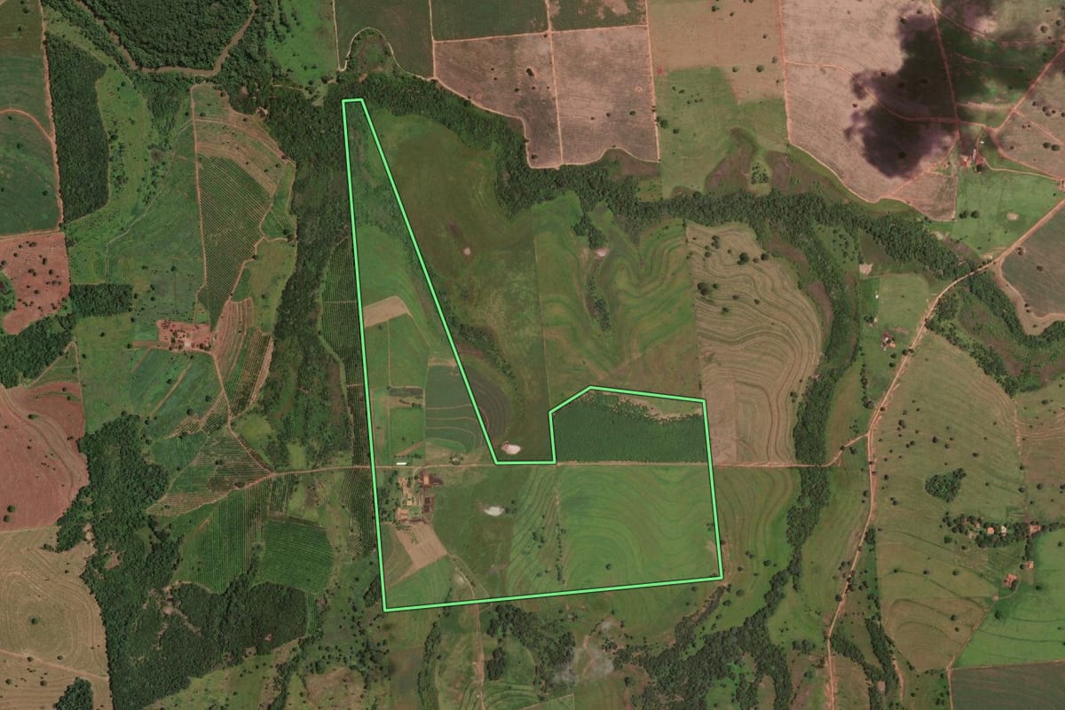 Imagem de satélite do imóvel rural em Auriflama (SP), com o contorno declarado no CAR desenhado por cima.