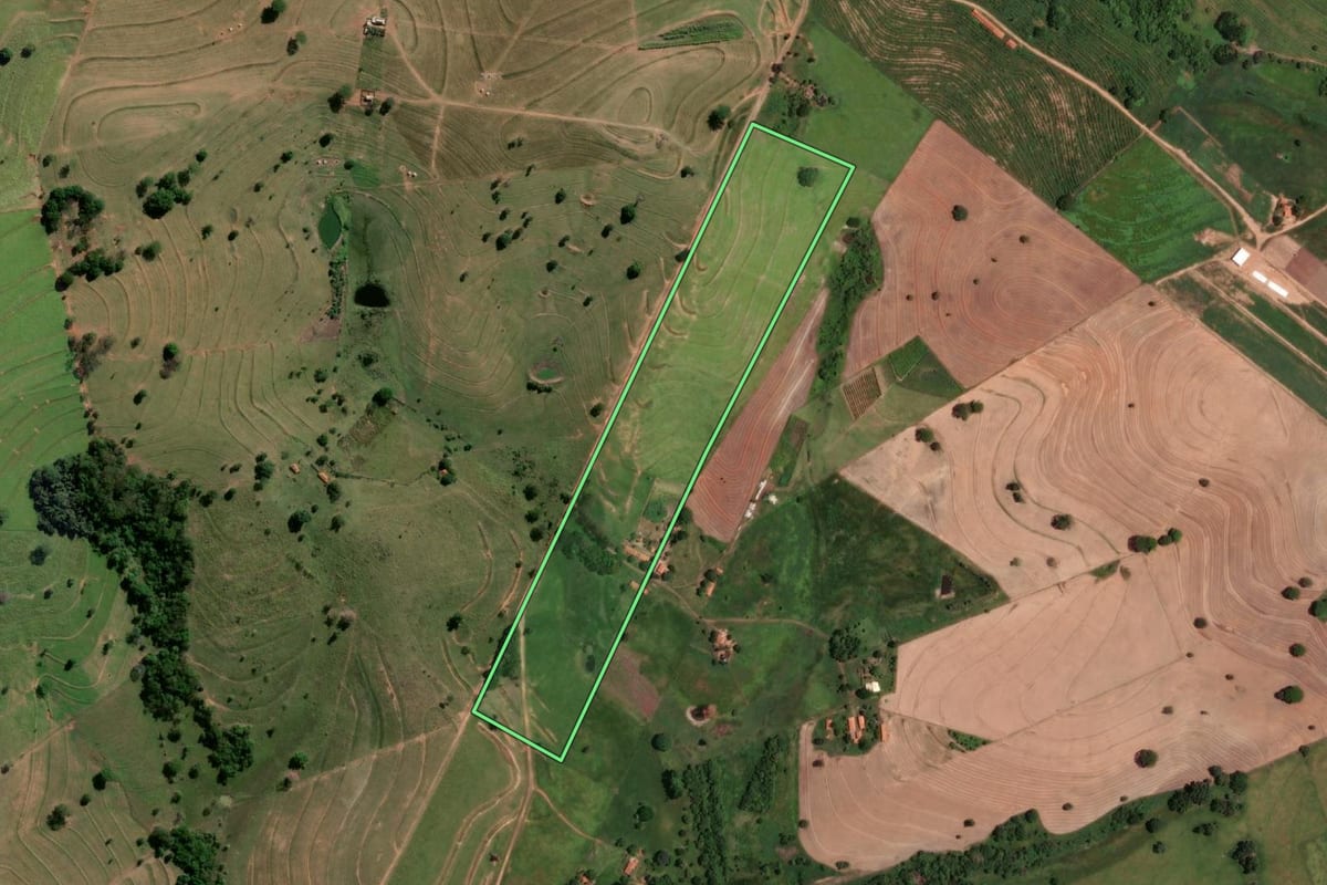 Imagem de satélite do imóvel rural em Auriflama (SP), com o contorno declarado no CAR desenhado por cima.