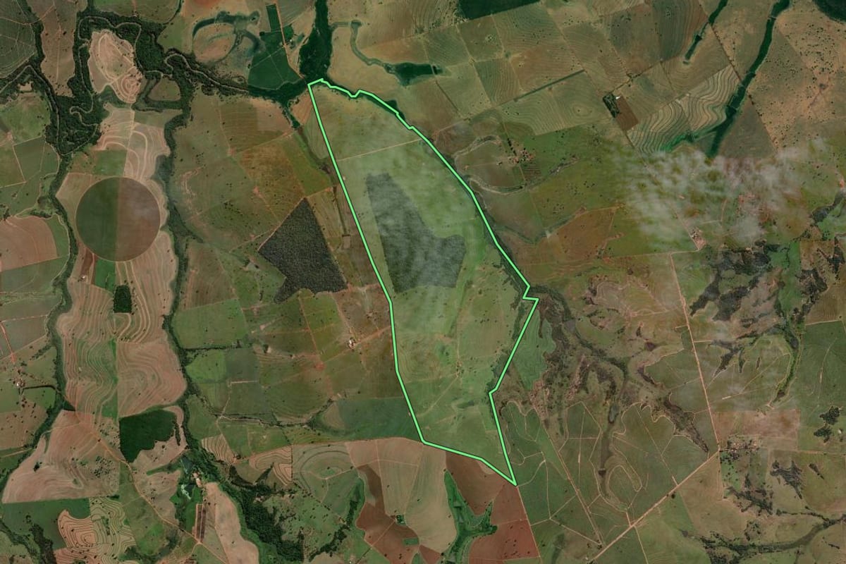 Imagem de satélite do imóvel rural em Auriflama (SP), com o contorno declarado no CAR desenhado por cima.