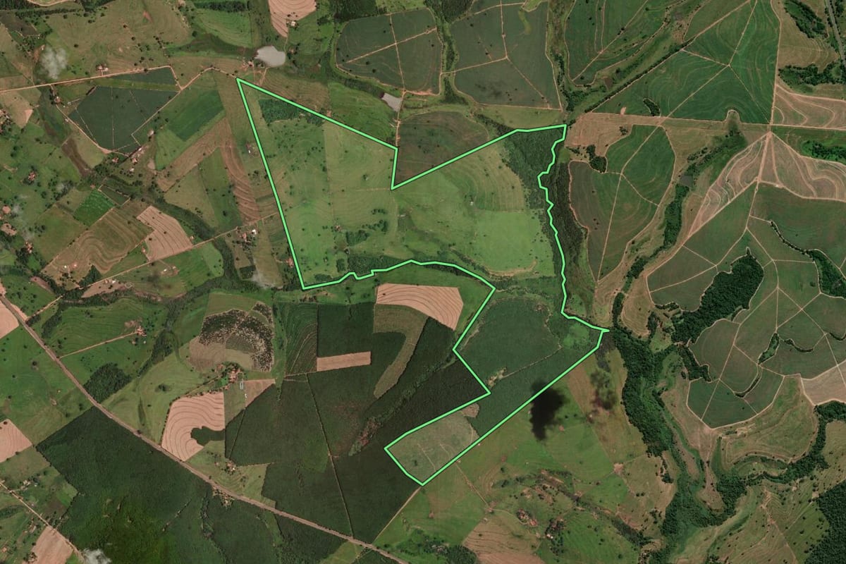 Imagem de satélite do imóvel rural em Auriflama (SP), com o contorno declarado no CAR desenhado por cima.