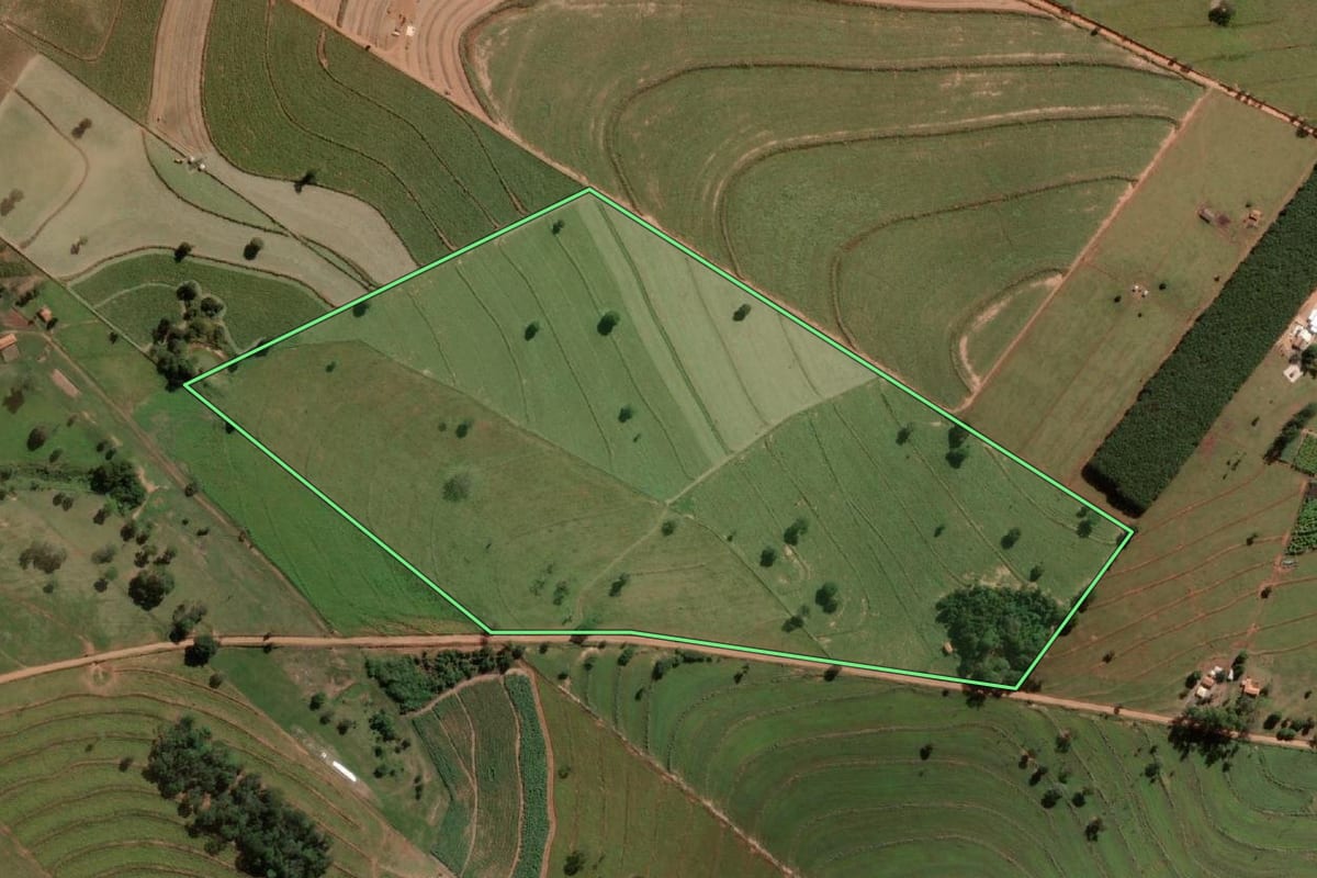 Imagem de satélite do imóvel rural em Auriflama (SP), com o contorno declarado no CAR desenhado por cima.
