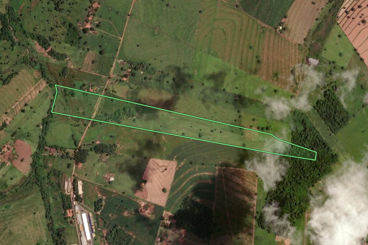 Imagem de satélite do imóvel rural em Auriflama (SP), com o contorno declarado no CAR desenhado por cima.