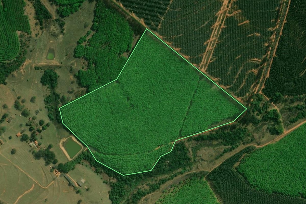 Imagem de satélite do imóvel rural em Avaí (SP), com o contorno declarado no CAR desenhado por cima.