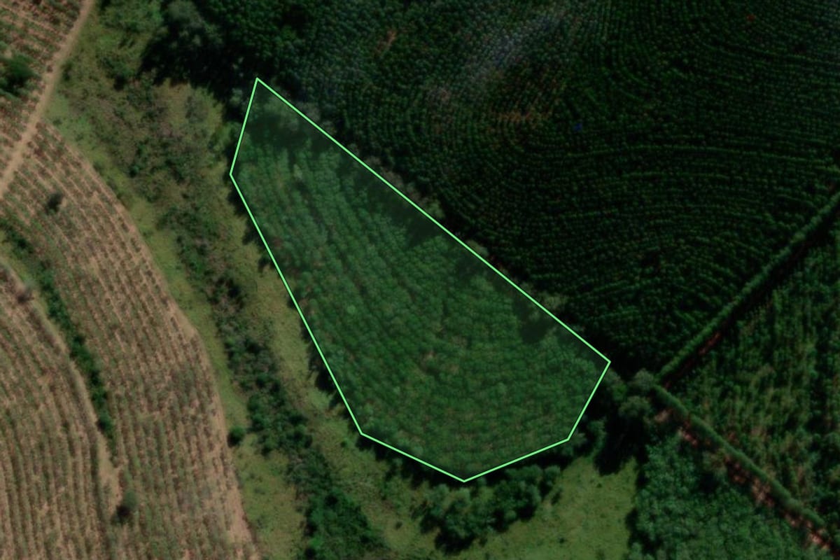 Imagem de satélite do imóvel rural em Avaí (SP), com o contorno declarado no CAR desenhado por cima.