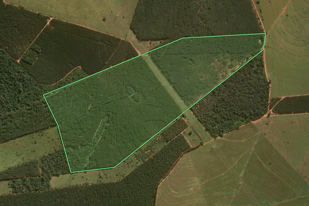 Imagem de satélite do imóvel rural em Avaí (SP), com o contorno declarado no CAR desenhado por cima.