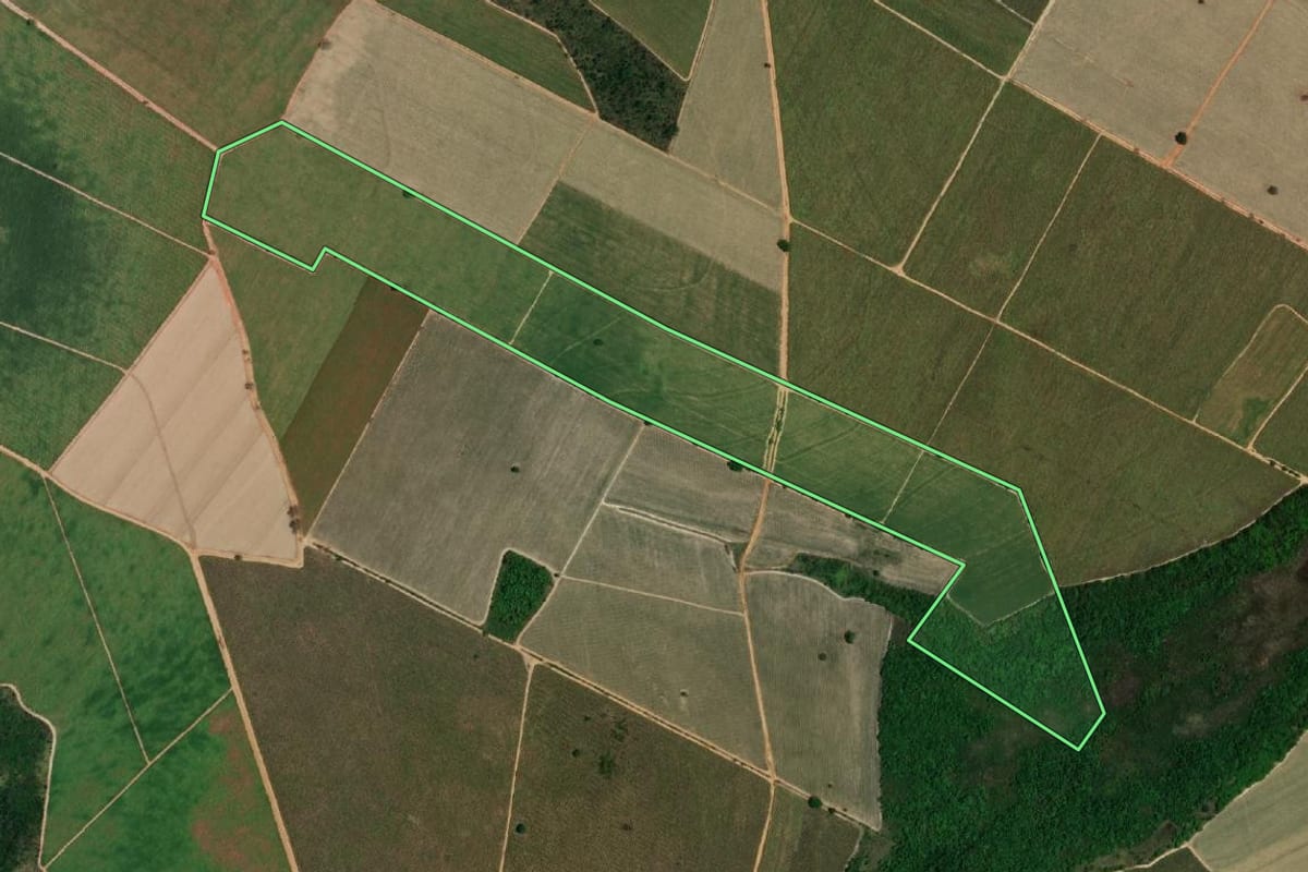 Imagem de satélite do imóvel rural em Avanhandava (SP), com o contorno declarado no CAR desenhado por cima.
