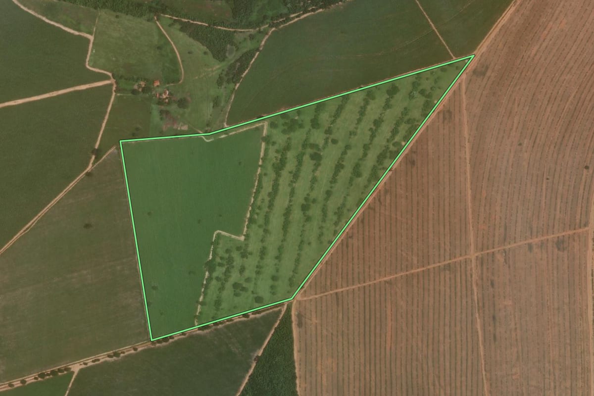 Imagem de satélite do imóvel rural em Avanhandava (SP), com o contorno declarado no CAR desenhado por cima.