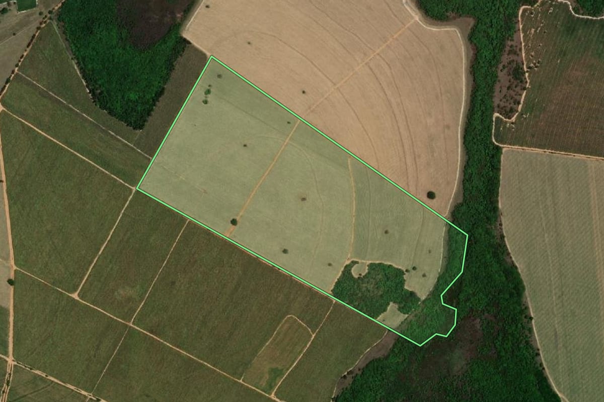 Imagem de satélite do imóvel rural em Avanhandava (SP), com o contorno declarado no CAR desenhado por cima.