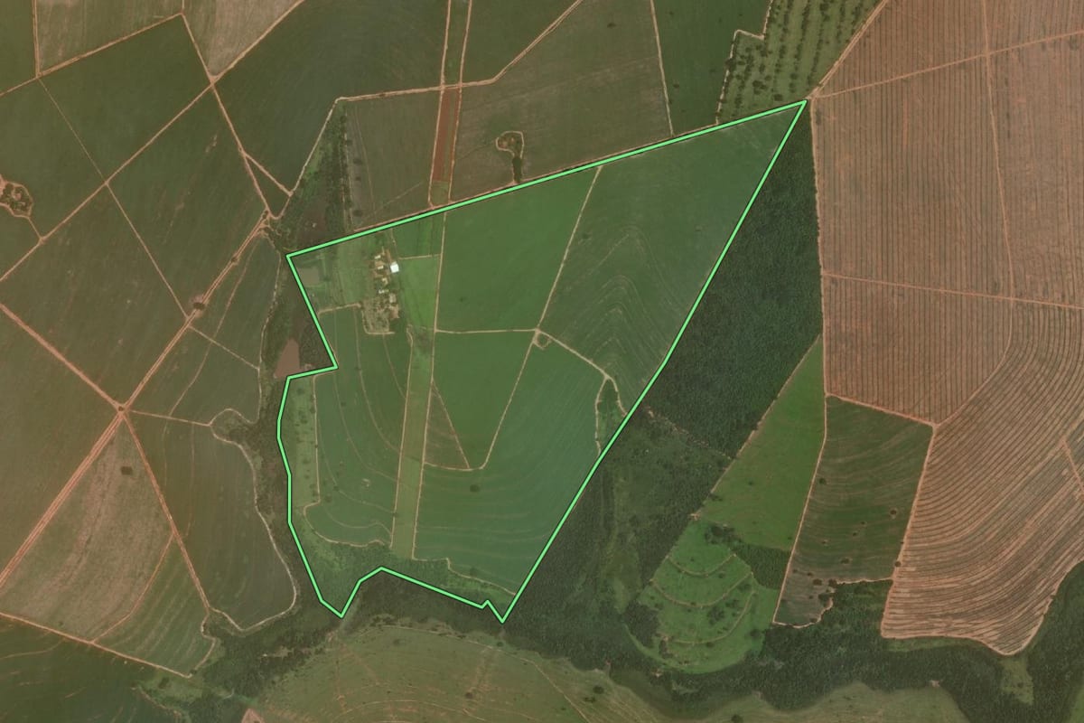 Imagem de satélite do imóvel rural em Avanhandava (SP), com o contorno declarado no CAR desenhado por cima.