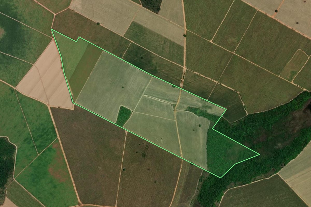 Imagem de satélite do imóvel rural em Avanhandava (SP), com o contorno declarado no CAR desenhado por cima.