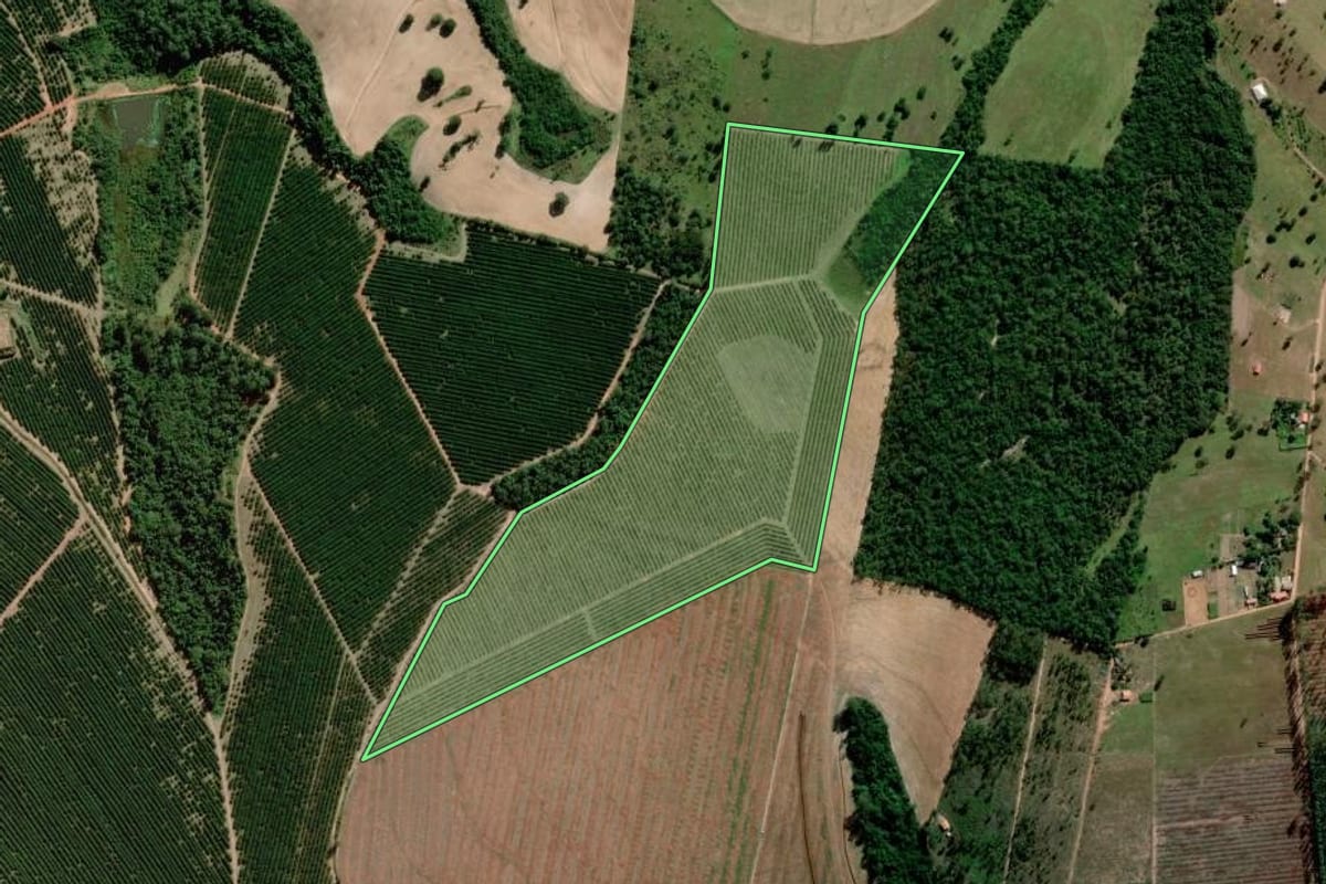 Imagem de satélite do imóvel rural em Avaré (SP), com o contorno declarado no CAR desenhado por cima.